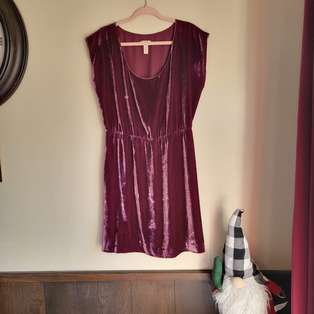 Velvet Scoop Neck Dress in Deep Berry